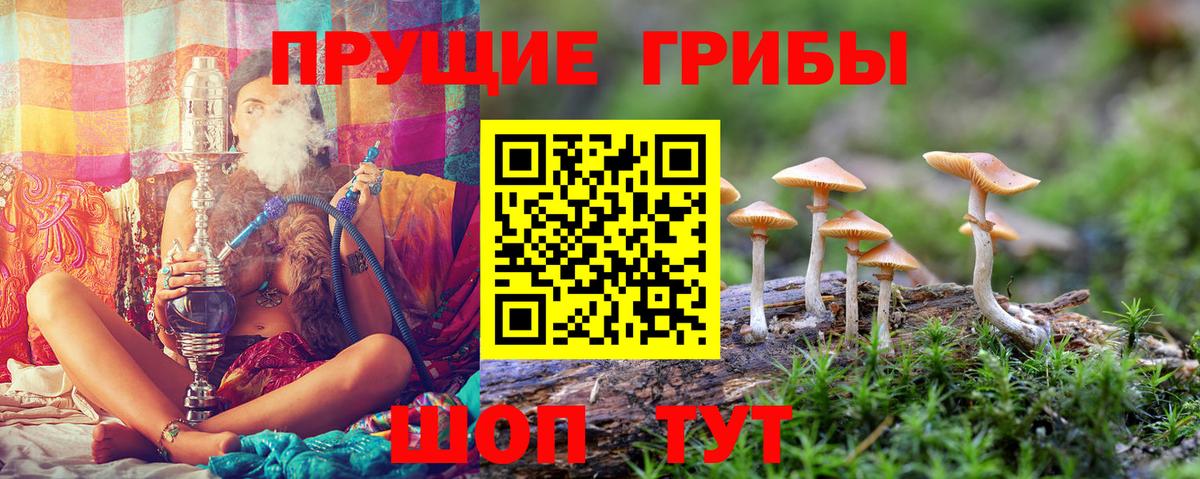 Галлюциногенные грибы MAGIC MUSHROOMS Саранск